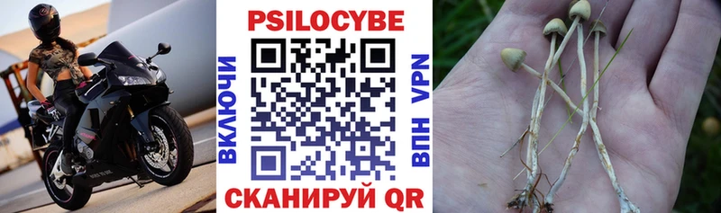 цены наркотик  блэк спрут сайт  Галлюциногенные грибы GOLDEN TEACHER  Краснообск 